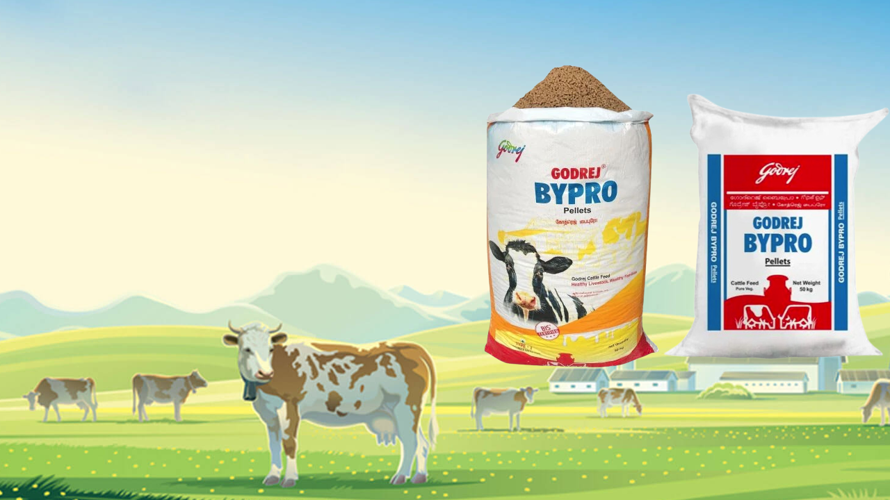 Cattle feed shop in Karaikudi 